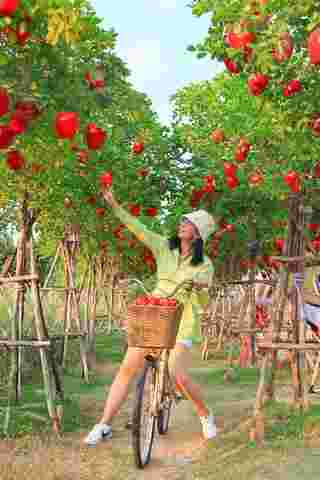 Move to Mountain Garden คาเฟ่กาญจนบุรี