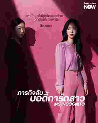 Ms. Incognito เรื่องย่อ ภารกิจลับบอดี้การ์ดสาว ซีรีส์เกาหลี