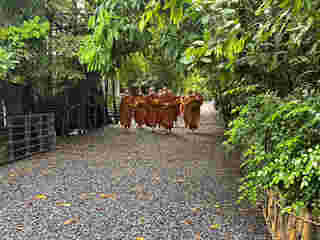 วัดนาป่าพง ปทุมธานี