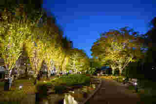 Tokyo Midtown Winter Lights