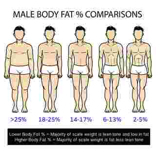 body fat