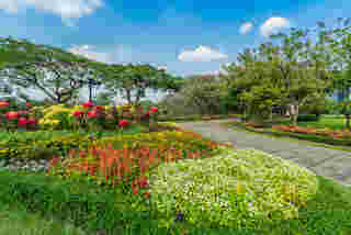 สวนสมเด็จพระนางเจ้าสิริกิติ์ฯ งานสีสรรพรรณไม้ เทิดไท้บรมราชินีนาถ