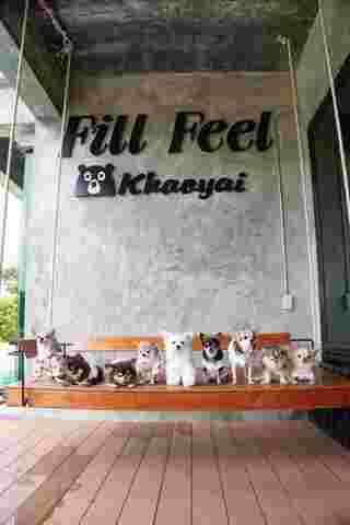 Fill Feel