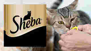 ขนมแมวเลีย Sheba