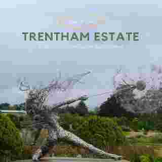 Trentham Estate ประเทศอังกฤษ