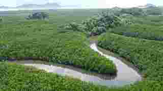 ล่องแพตรัง ชมเกาะรูปหัวใจ เขาจมป่า