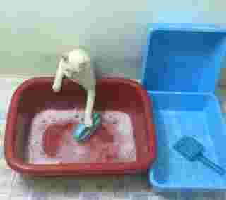ทำงานบ้าน