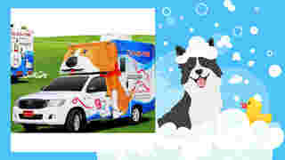 Pawpals Mobile Dog Grooming