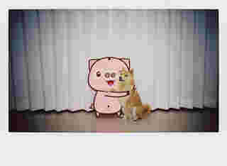 ทํารูปคู่ AI