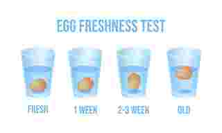 ทดสอบไข่ไก่ด้วยการแช่น้ำ
