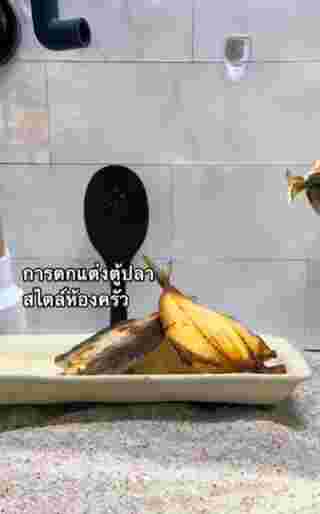ตกแต่งตู้ปลา