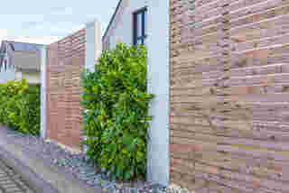ไอเดียรั้วต้นไม้ Modern Landscaping with a Cherry Laurel Hedge