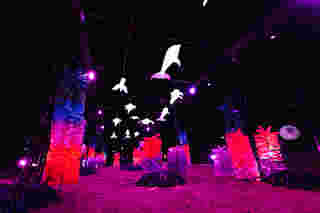 Pattaya Lighting 2025