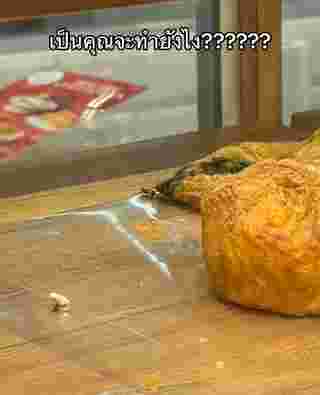 ซื้อขนมปัง