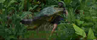 Anaconda (2025) ภาพตัวอย่าง