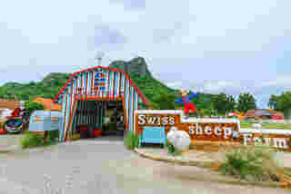 ที่เที่ยวเพชรบุรี Swiss Sheep Farm (Zucata Sheep Farm)