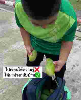 รับลูกกลับบ้าน