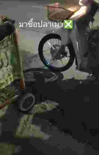 ซื้อปลาเผา