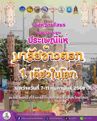 ประเพณีแห่มาลัยข้าวตอก หนึ่งเดียวในโลก ปี 2568