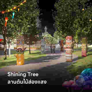 Shining Tree (ลานต้นไม้ส่องแสง)