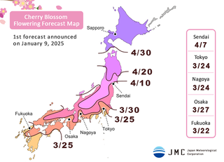 พยากรณ์ซากุระ ญี่ปุ่น 2025 เดือนไหน