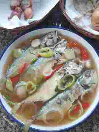เมนูปลาทู