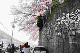 Gamcheon Culture Village