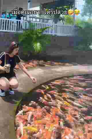 ให้อาหารปลา