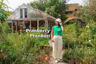 Pranberry