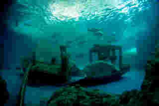 โซนยักษ์ใหญ่ใต้สมุทร พิพิธภัณฑ์สัตว์น้ำบางแสน 