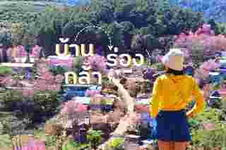 บ้านร่องกล้า