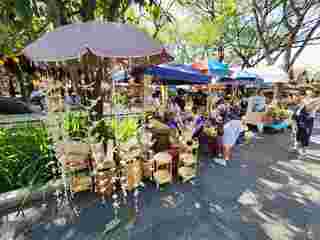 ตลาดจริงใจ เชียงใหม่
