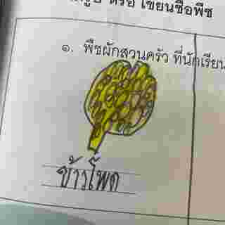 ภาพวาดผัก