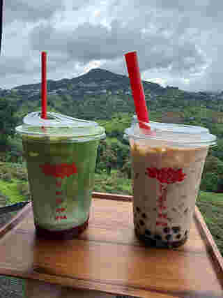 ร้านคาเฟ่บนดอย ไร่ชาวังพุดตาล