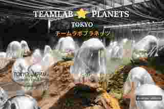  teamLab Planets TOKYO  