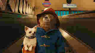 เรื่องย่อ Paddington in Peru หนังหมีแพดดิง