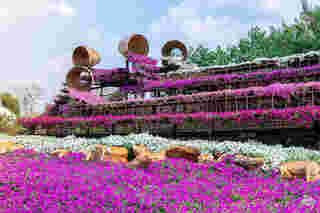 Flower Village Khaoyai จังหวัดนครราชสีมา