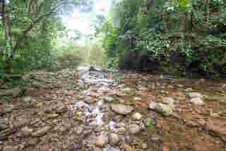 คลองมะเดื่อ นครนายก