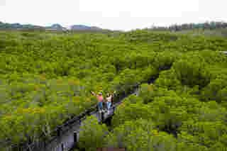 ที่เที่ยววันแม่ วนอุทานปราณบุรี