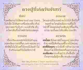 ดวงรายเดือน พฤศจิกายน 2567