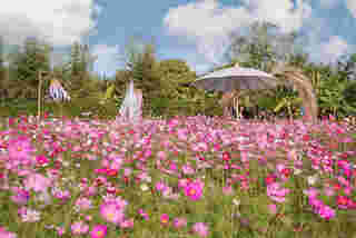 สวนดอกไม้ลุงชัย ราชบุรี