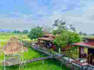 ที่พักวิวทุ่งนา 2568 โรงแรมโรสแมรี่ รีสอร์ท 