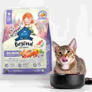 อาหารแมว Buzz Beyond