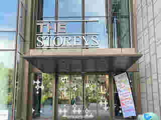 The Storeys