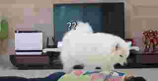 เป็นลม