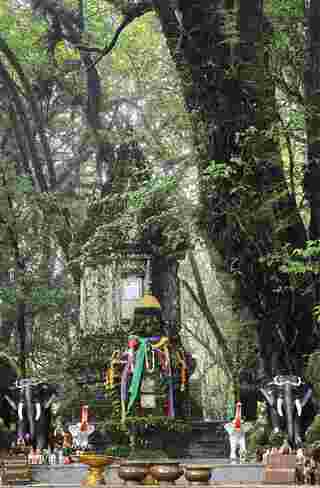 เที่ยวดอยอินทนนท์หน้าฝน