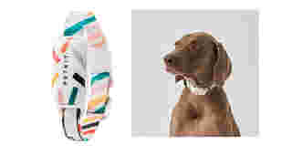 PETKIT Smart Pet Activity Monitor
