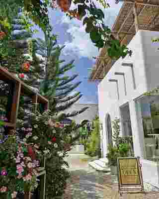 ร้านคาเฟ่กรุงเทพฯ Thong Thyme cafe' 