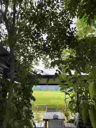 ที่พักวิวทุ่งนา 2568 บ้านระเบียงนา