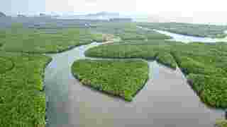ล่องแพตรัง ชมเกาะรูปหัวใจ เขาจมป่า